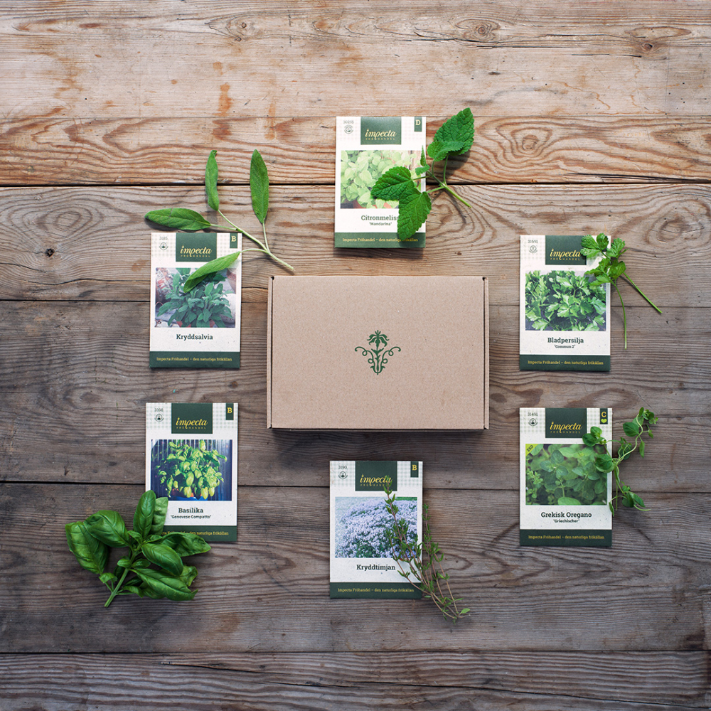 Uprawiaj ogród przyprawowy