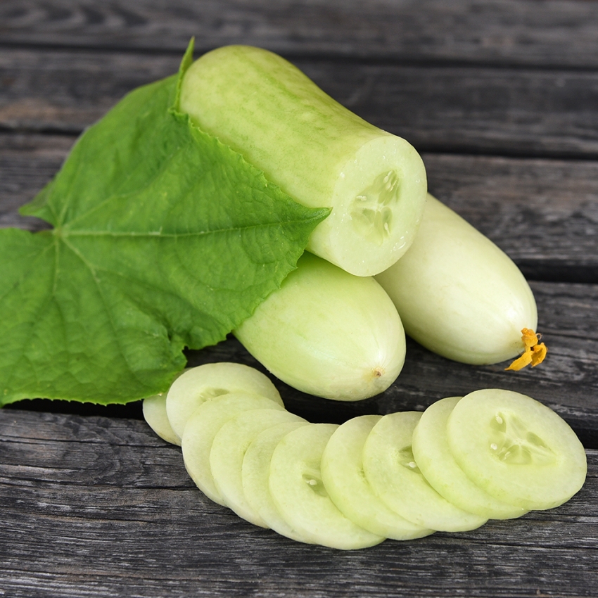 Ogórek szklarniowy F1 'Delistar'