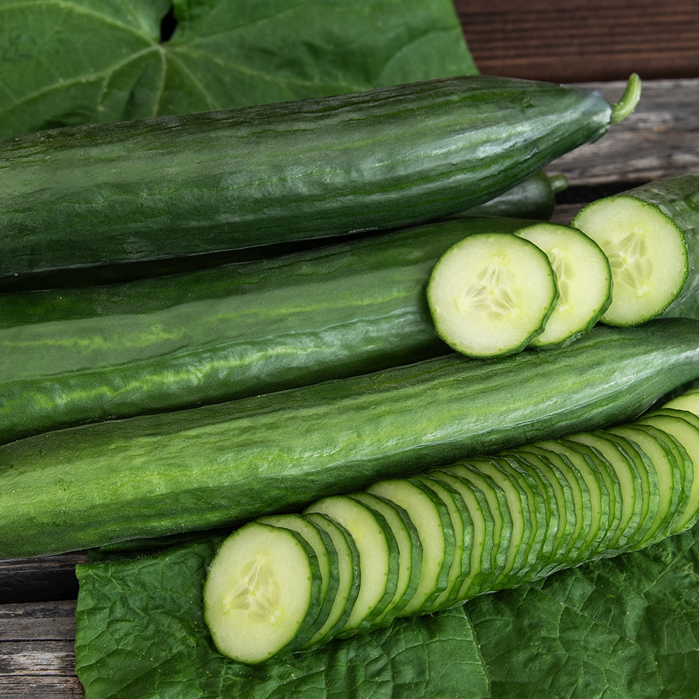 Ogórek szklarniowy F1 'Kalunga'