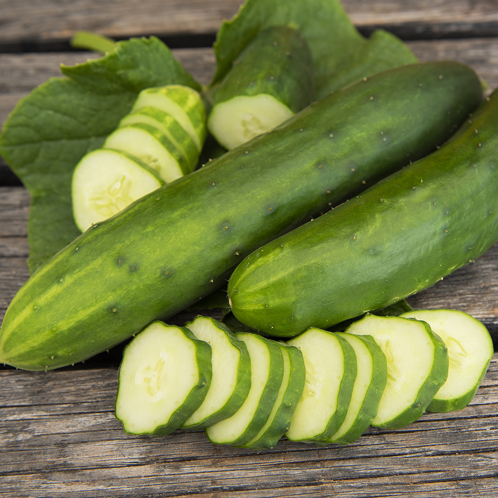 Ogórek sałatkowy ‘Marketmore’
