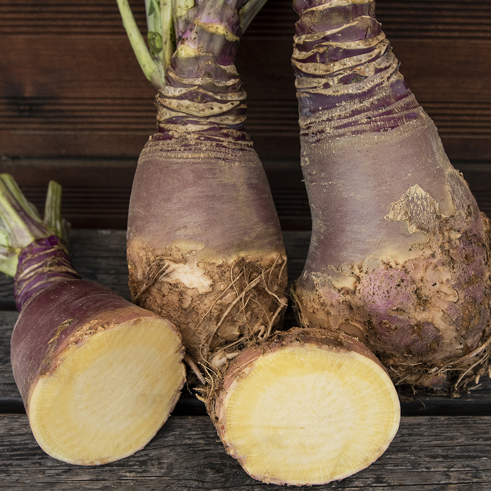 Brukiew ‘Champion’