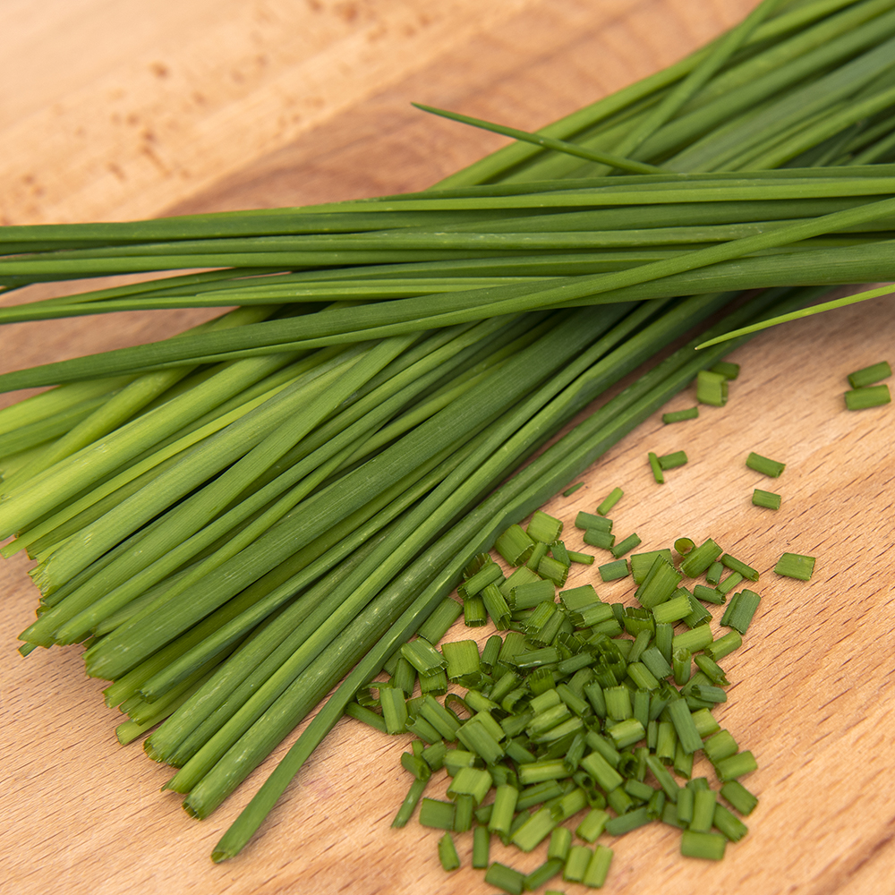 Szczypiorek ogrodowy 'Medium Leaf'