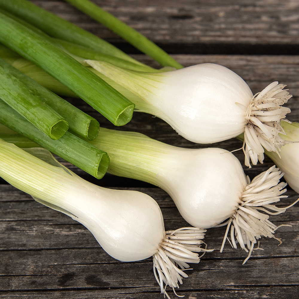 ebula siedmiolatka F1 ‘Racer’