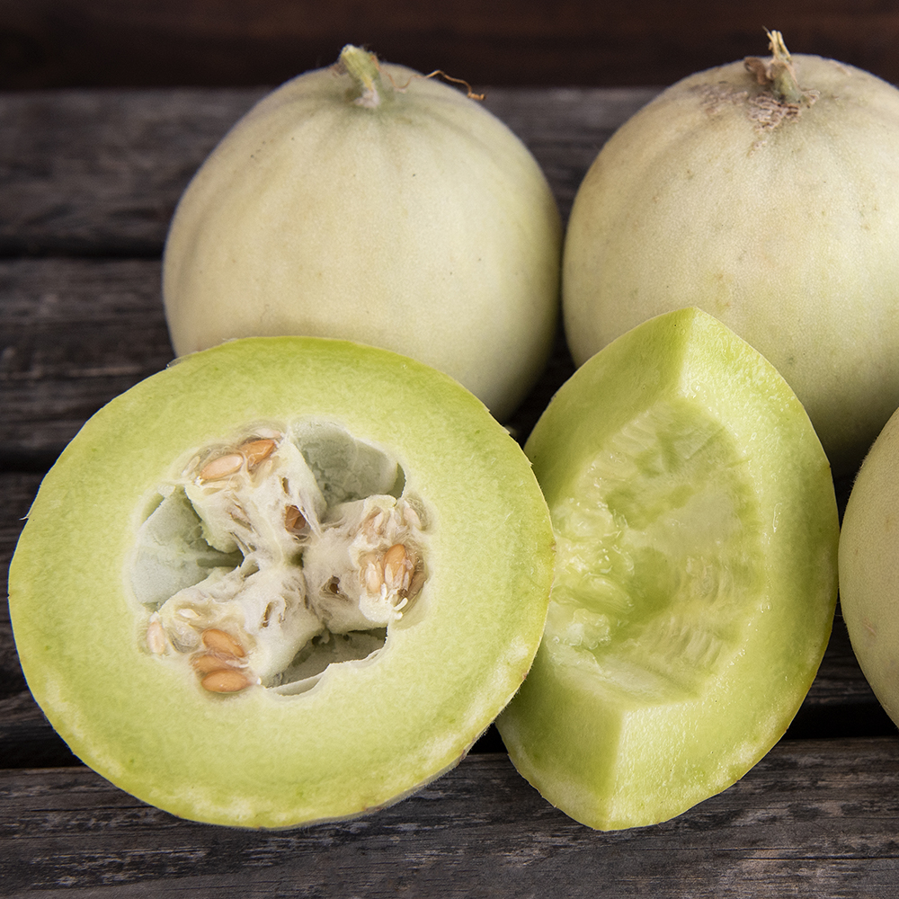 Melon miodowy 'Honey Dew'