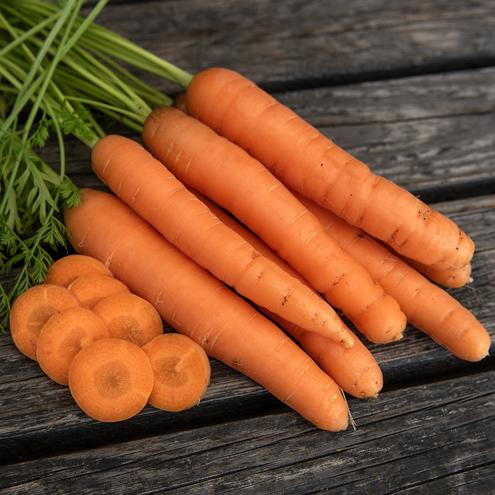 Marchew letnia 'Touchon'