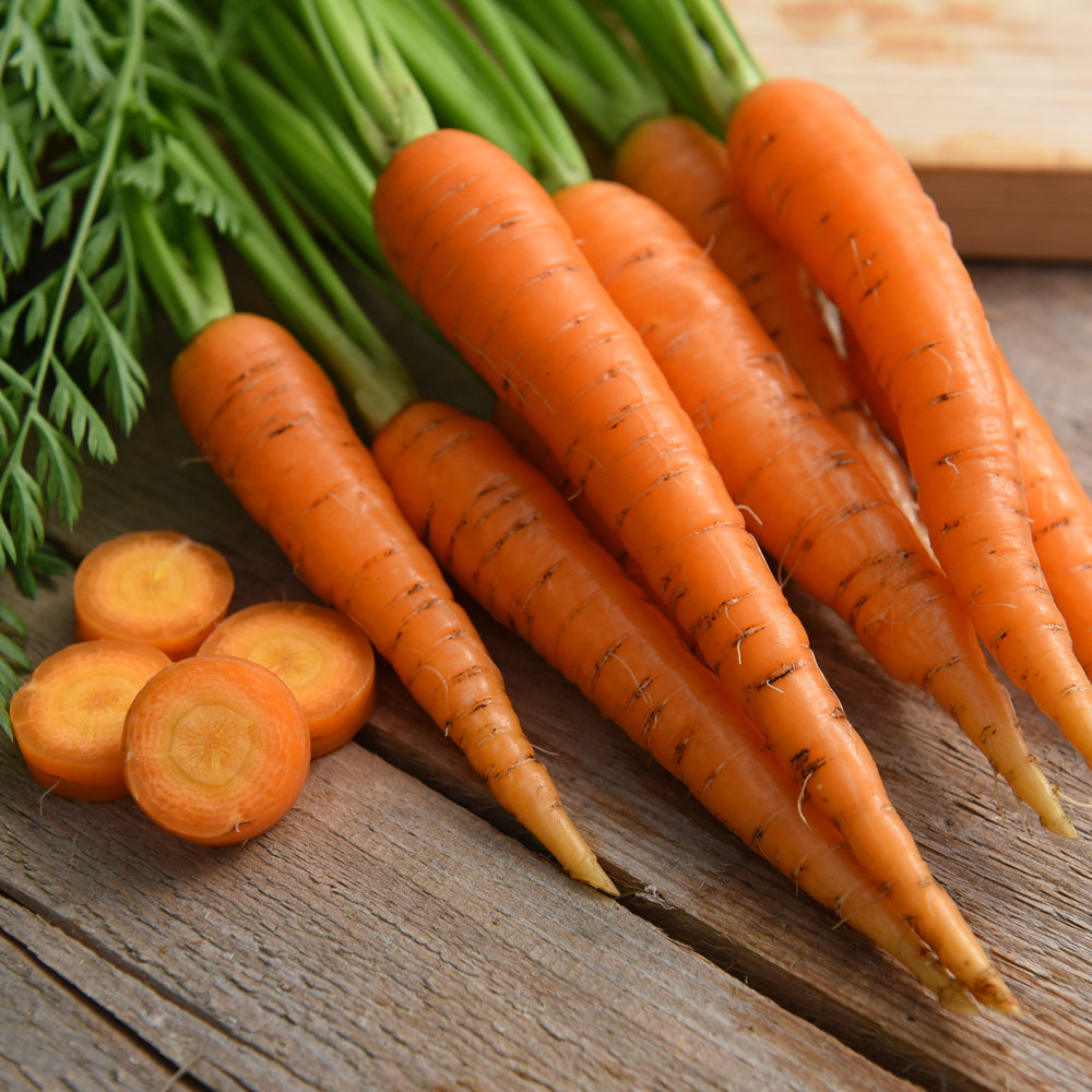 Marchew jesienna F1 'Eskimo'