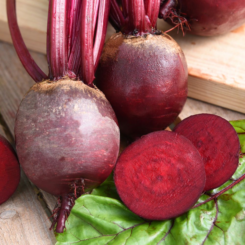 Burak ćwikłowy F1 'Boro'