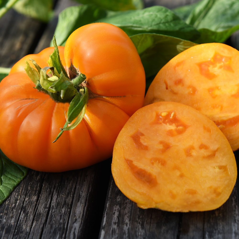 Pomidor malinowy 'Brandywine Yellow'