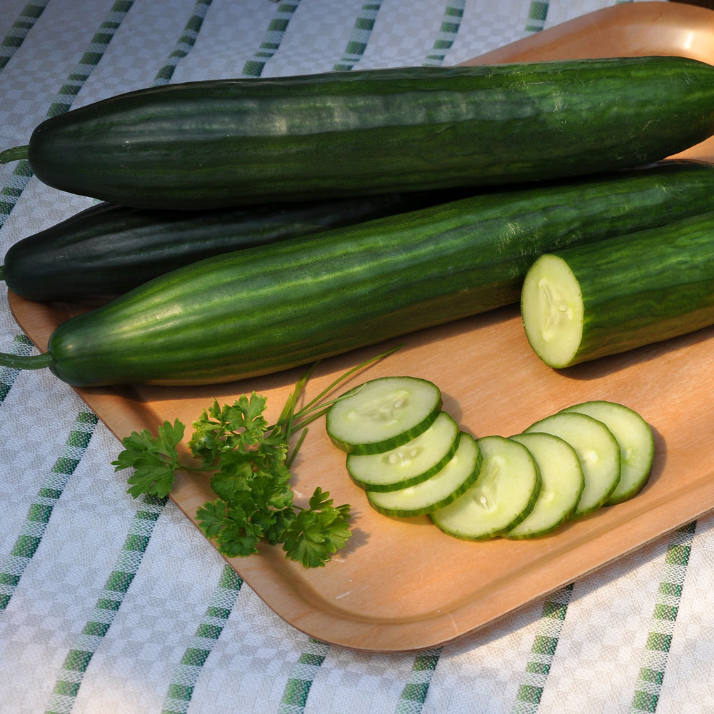 Ogórek szklarniowy F1 'Max'