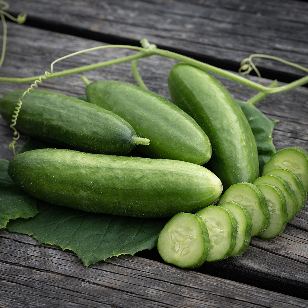 Ogórek sałatkowy 'Beth Alpha'