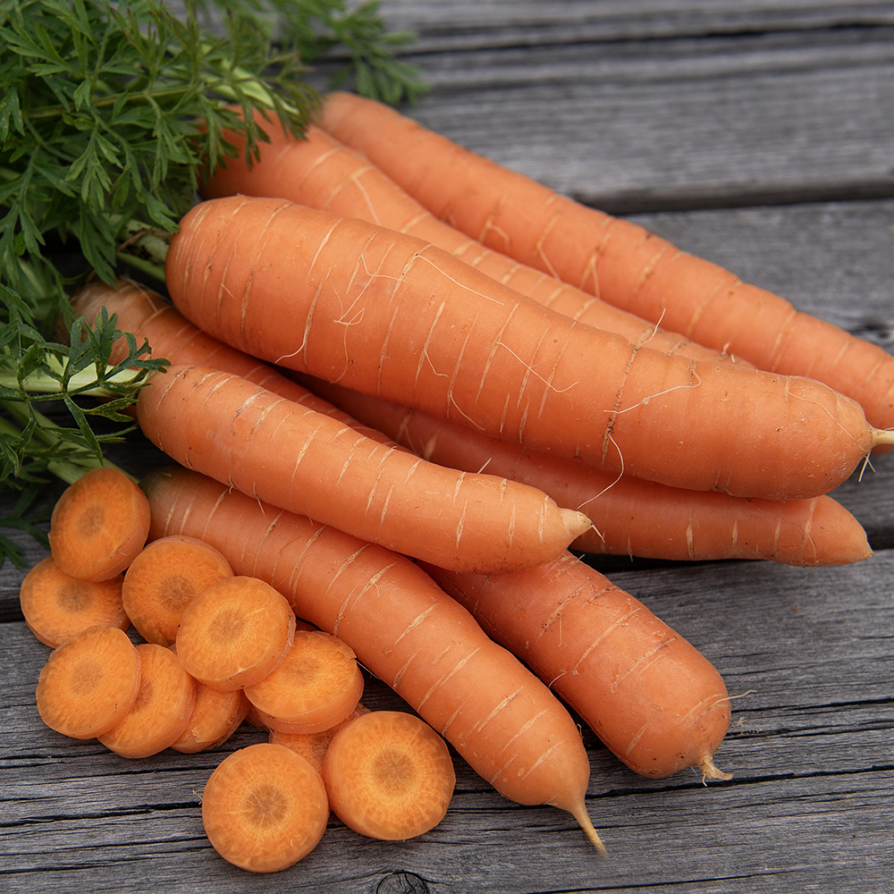 Marchew letnia 'Nantes 2'