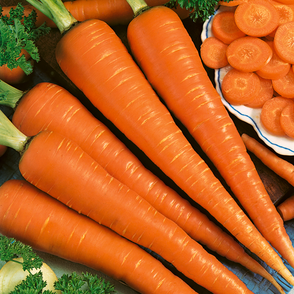 Marchew jesienna 'De Saint-Valery'