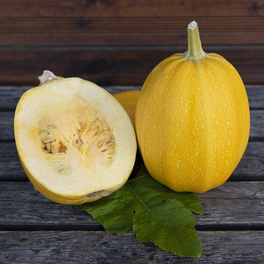 Dynia makaronowa ‘Pyza’