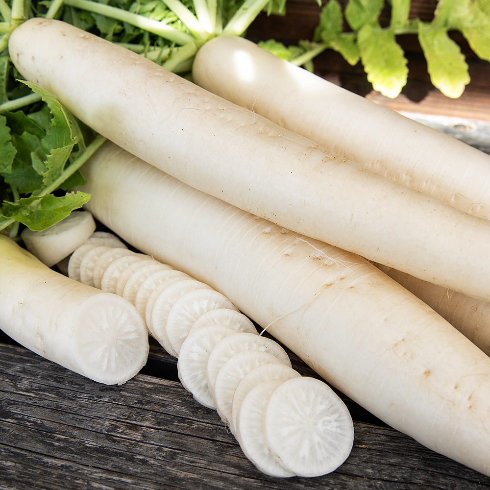 Rzodkiew japońska ‘Minowase Summer Cross Nr 3’