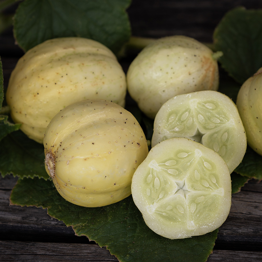 Ogórek 'Lemon'