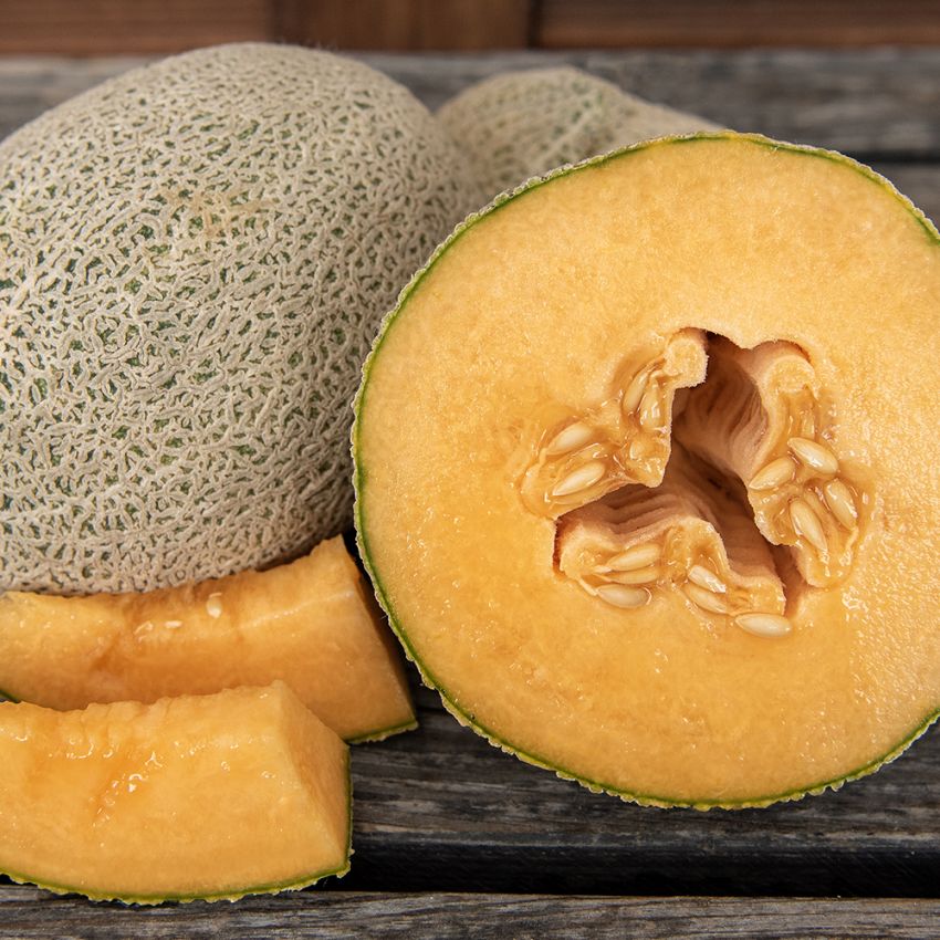 Melon siatkowy 'Hale's Best Jumbo'