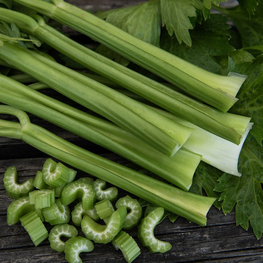 Seler naciowy F1 'Darklet'