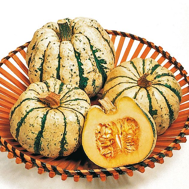 Dynia 'Sweet Dumpling'