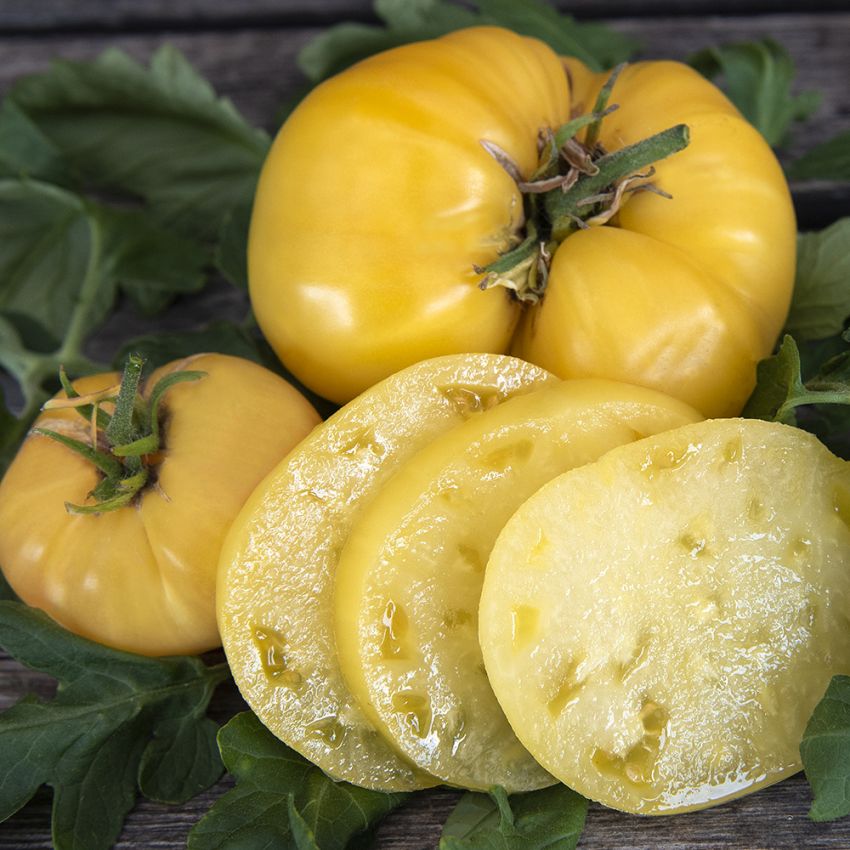 Pomidor malinowy 'White Beauty'