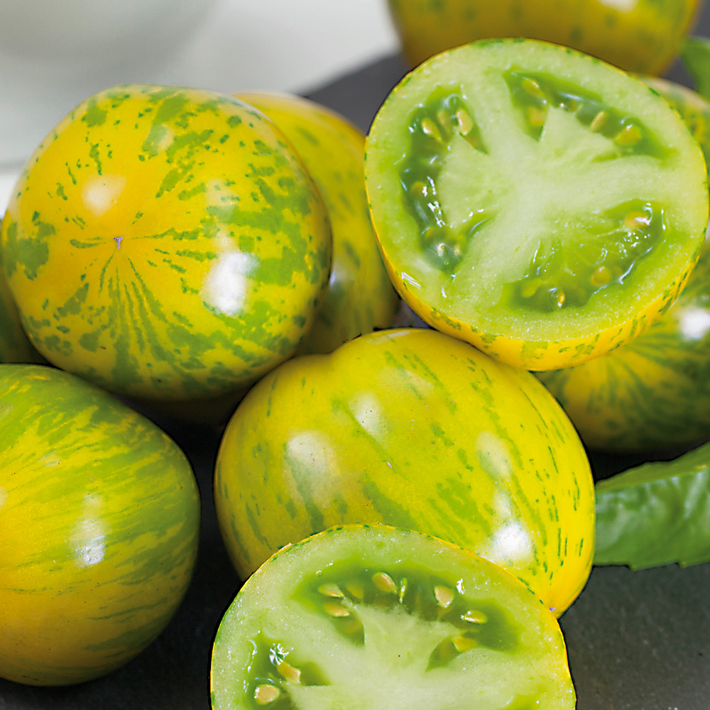 Pomidor 'Green Zebra'