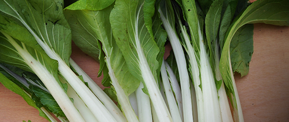 Nasiona roślin warzywnych azjatyckiego pochodzenia