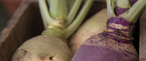 Nasiona na kalarepkę