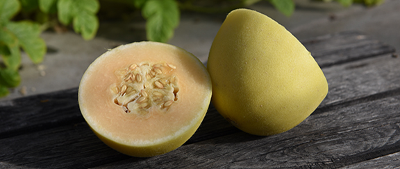 Nasiona melona