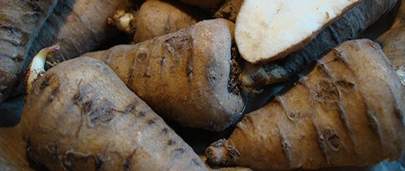 Nasiona innych warzyw korzeniowych