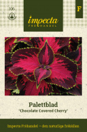 Palettblad Chocolate Covered Cherry ma wiśniowo-różowy kolor z unikalnym, kolorowym wzorem