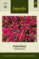 Palettblad ''Colocha Rose''