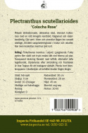 Palettblad ''Colocha Rose''