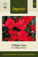 Flitiga Lisa F1 'Lollipop Cherry', gęsty, zwarty i dobrze rozgałęziony pokrój rośliny, doskonały do wiszących koszy, donic, skrzynek i nasadzeń w gruncie.