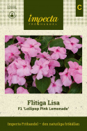 Flitiga Lisa F1 ''''Lollipop Pink Lemonade''''