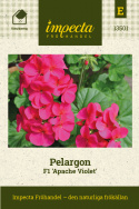 Pelargonia F1 Apache Violet Obficie kwitnąca o różowofioletowych kwiatach