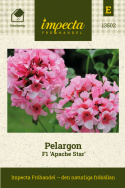 Pelargonium F1 'Apache Star' Obficie kwitnący z jasnoróżowymi kwiatami na kompaktowych roślinach.