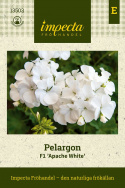 Pelargonia F1 ''''Apache White''''