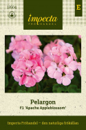 Pelargonia F1 ''''Apache Appleblossom''''