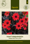 Prosta dalia ogrodowa ''Happy Days Cherry Red'' 1 szt.
