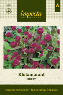 Klotamarant 'Buddy' nadaje się do donic i skrzynek na kwiaty. Doskonały do suszenia.