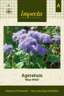 Jednoroczne ageratumy Blue Mink