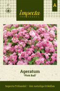 Ageratum-Pink Ball to tradycyjna letnia roślina kwitnąca o jasno różowych kwiatach.