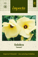 Solokra 'Sunset' Rzadki gatunek o jasnożółtych kwiatach z purpurowo-czerwonym oczkiem.