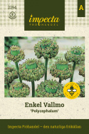 Prosta makówka 'Polycephalum', dekoracyjne torebki nasienne przydatne w suchych bukietach