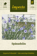Spånadslin, jasnoniebieskie kwiaty o świetlistym odcieniu nieba. Piękny w suchych bukietach.