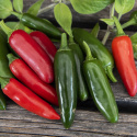 Papryka chili ''''Serrano''''