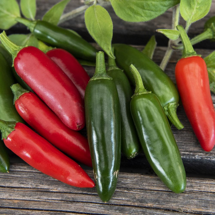 Papryka chili ''''Serrano''''