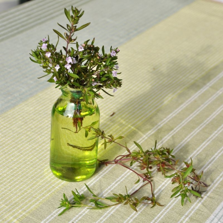 Sommarkyndel, kwitnie na biało-jasnofioletowo. Świeże i suszone liście są używane.