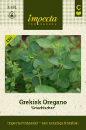 Grecki oregano Grecki, krzaczasty pokrój. Aromatyczne, głęboko zielone liście.