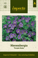 Nierembergia Purple Robe, obficie kwitnąca z purpurowo-niebieskimi kwiatami kielichowymi z żółtym środkiem