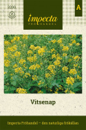 Vitsenap, żółte kwiaty. Nasiona są używane do zwykłej musztardy. Bardzo łatwa w uprawie.